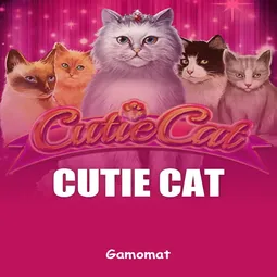 Cutie Cat